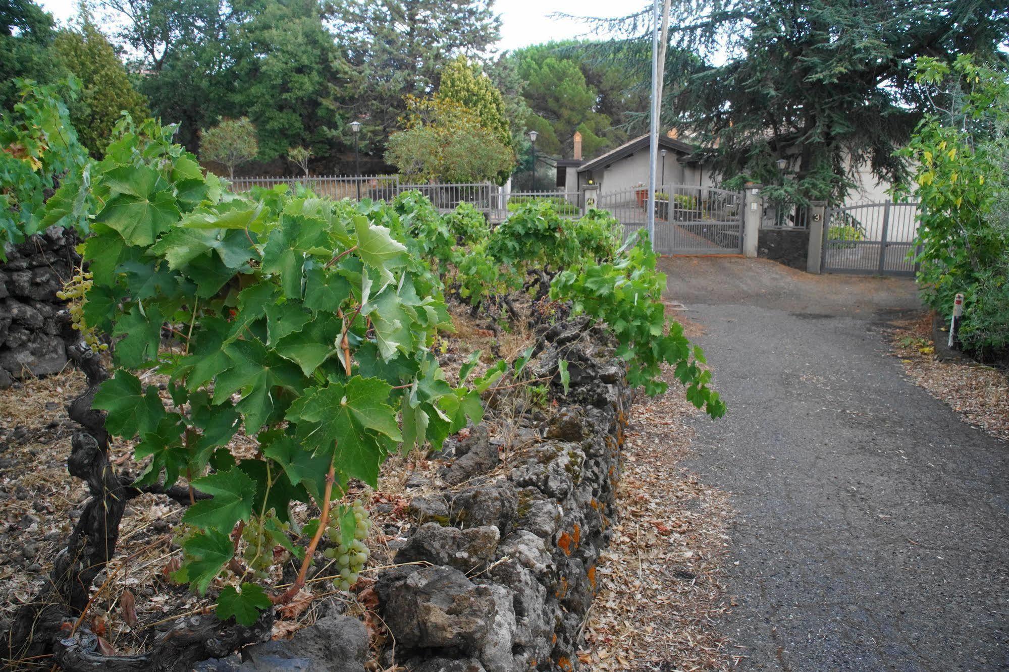 Etna Paradise Locazioni Brevi Villa Ragalna Екстериор снимка